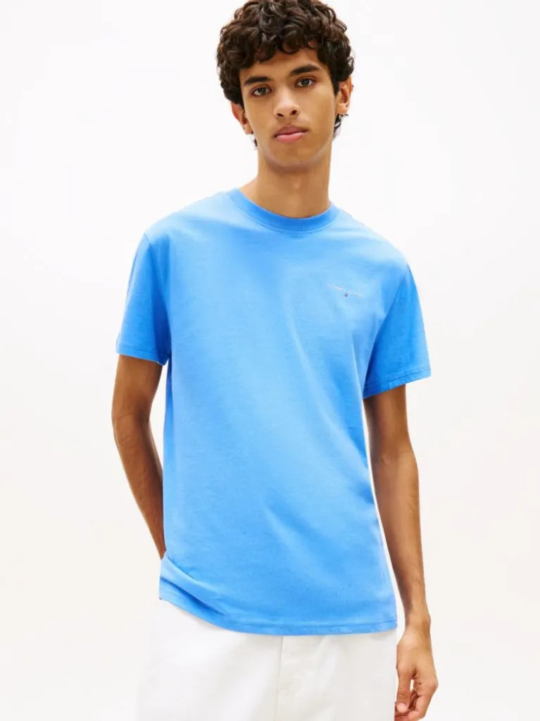 T-SHIRT TOMMY HILFIGER DM0DM21780C38