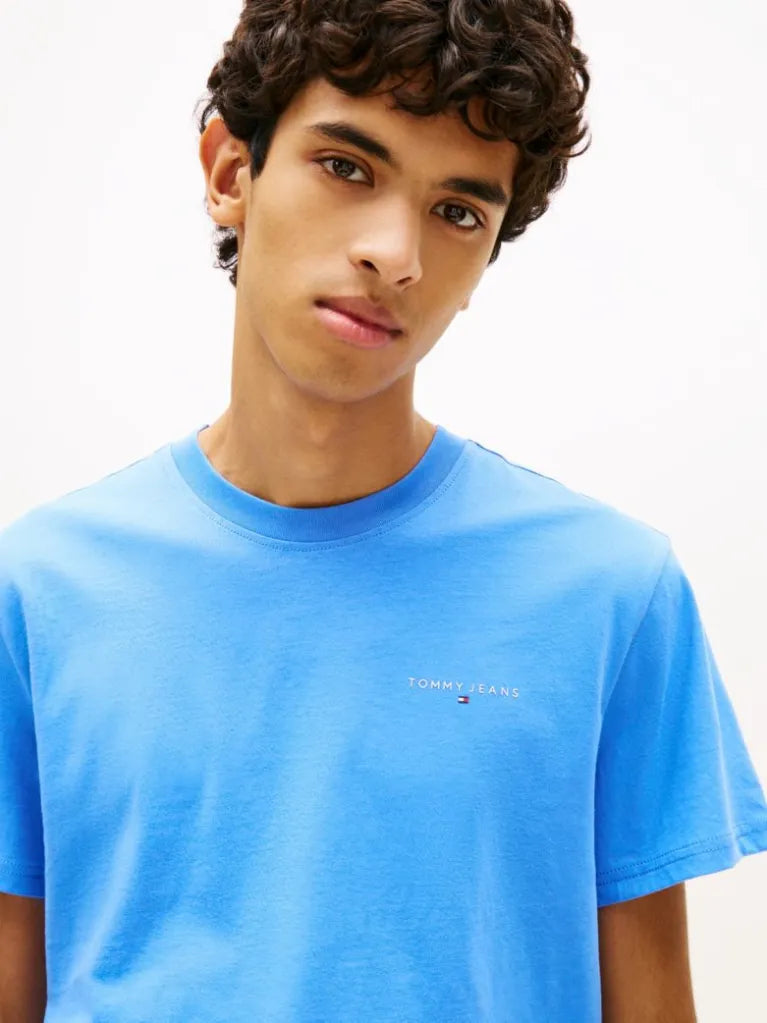 T-SHIRT TOMMY HILFIGER DM0DM21780C38