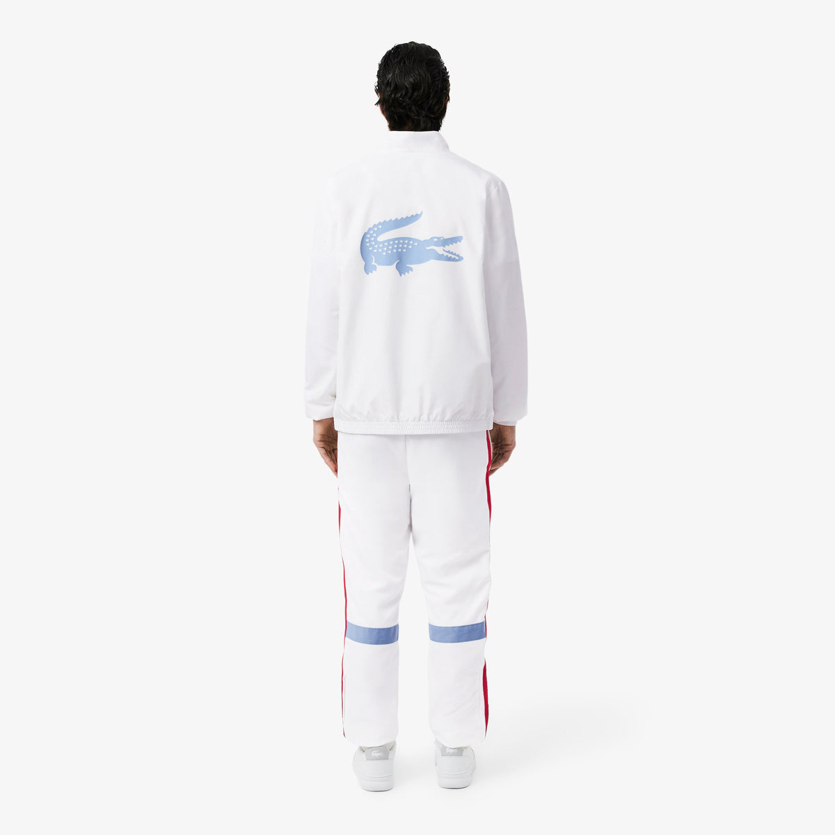 TUTA LACOSTE WH0226
