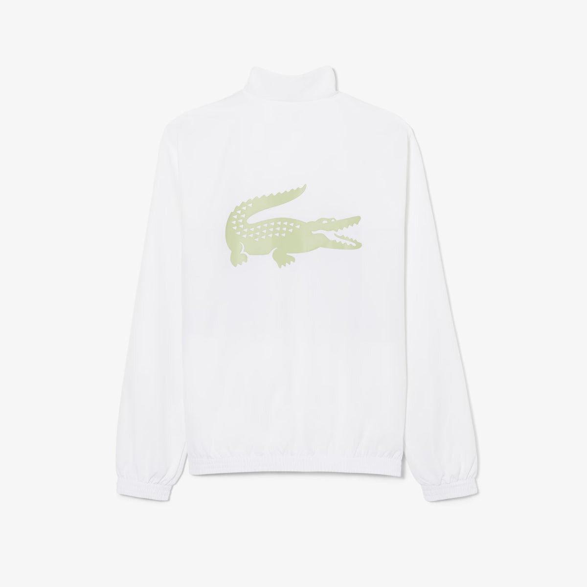 TUTA LACOSTE WH0226