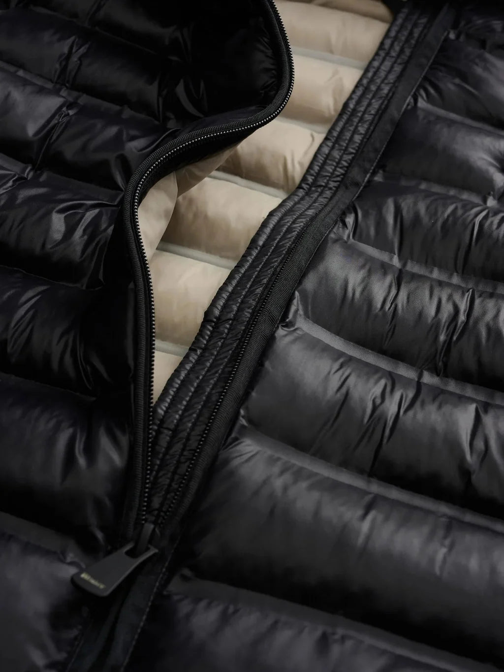 GIUBBINO BLAUER 26WBLDC02221